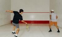 Harassment in squash rising
