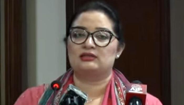 Coordinator to Prime Minister on Climate Change and Environmental Coordination Romina Khurshid Alam seen in this image released on August 28, 2024. — X@RadioPakistan