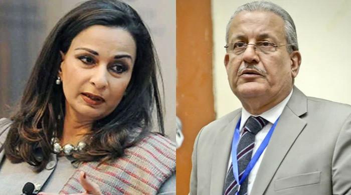 Sher Raisani Sherry, Rabbani slam Irsa law restructuring proposal
