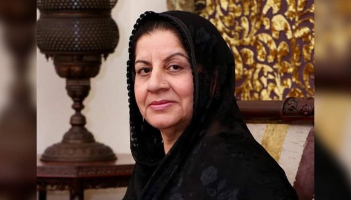 Newly elected MNA Samina Khalid Ghurki seen in this image on September 20, 2024. — Facebook/Samina Khalid Ghurki