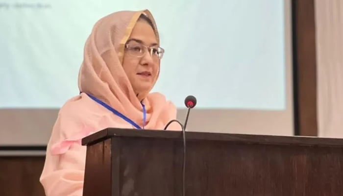 Dr Sadaf Chiragh chairperson of the Medical Oncology Department seen in this image. — Facebook/@docblog090/File