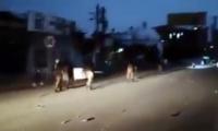Public frustration peaks amid Liaquat Bagh protest chaos