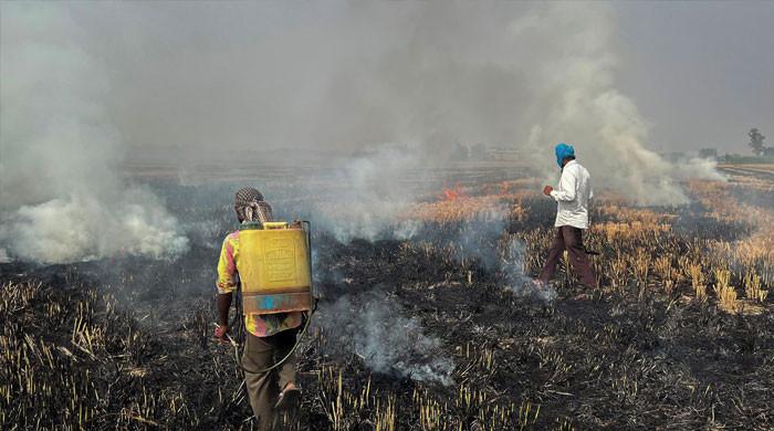 India’s SC pulls up authorities over air quality as farmers burn crop ...
