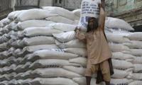 Cabinet okays export of additional 500,000 tonnes of sugar