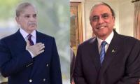Zardari, Shehbaz discuss amendments