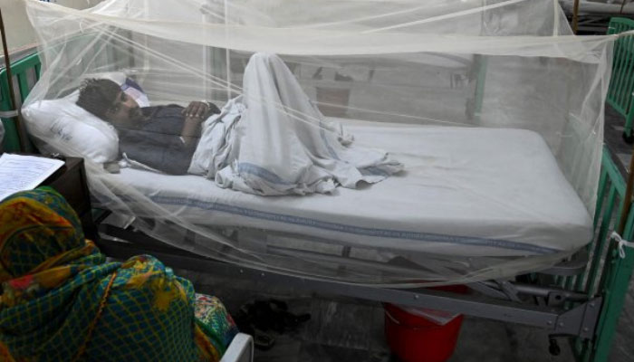 Patient suffering from dengue fever at a hospital in Lahore can be seen under net. — AFP/File