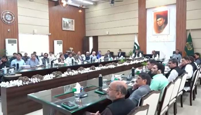 Chairman P&D Board Barrister Nabeel Ahmad Awan chairs the 42nd Development Working Party (PDWP) meeting fiscal year 2024-25 on October 1, 20254. — Screengrab via Facebook@PnDBPb