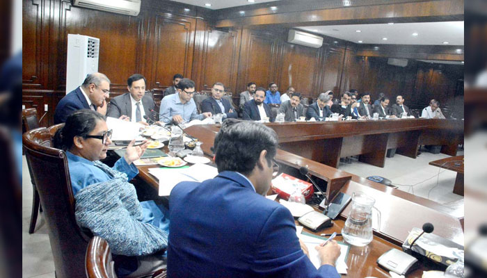 Chairperson of the Senate Standing Committee on Planning Senator Quratulain Marri, presides over a meeting to review PSDP projects for Sindh at Sindh Secretariat on November 11, 2024. — APP