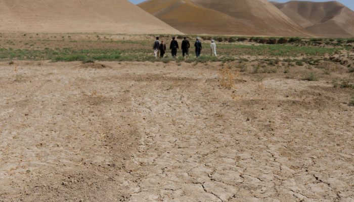 A representational image shows a parched field in Balkh province, Afghanistan on August 4, 2023. — Reuters