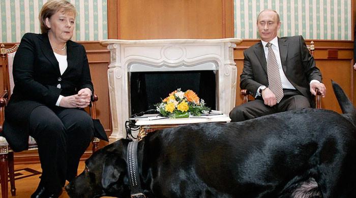 Angela, forgive me: Putin denies scaring Merkel with dog