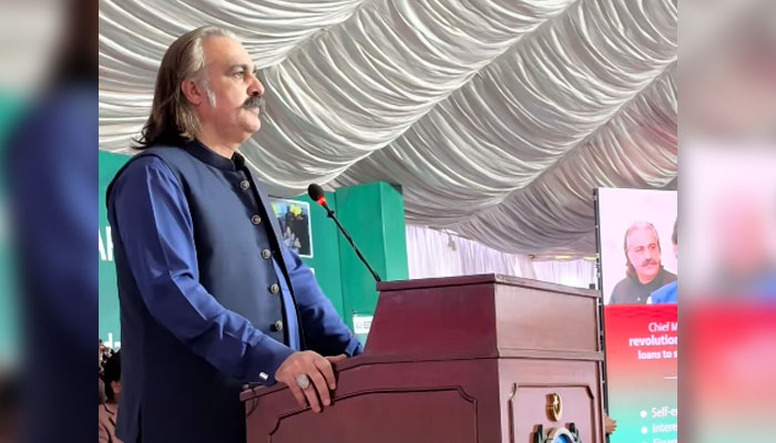 Chief Minister Ali Amin Khan Gandapur as the chief guest addresses a ceremony on December 12, 2024. — Screengrab via Facebook@AliAminKhanGandapurPti