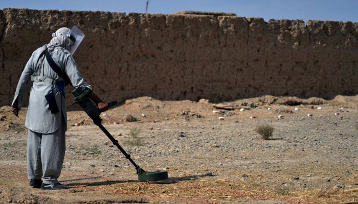 This representational image shows a deminer scanning the ground for mines with a metal detector. — AFP/File