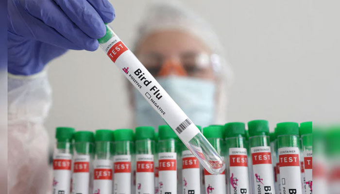 A representational image of a doctor hoolding a test tube.— Reuters/File