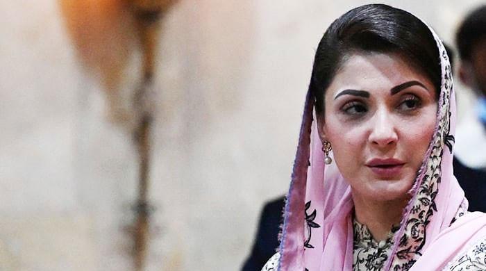 New projects revolutionised healthcare system: Maryam  The News International