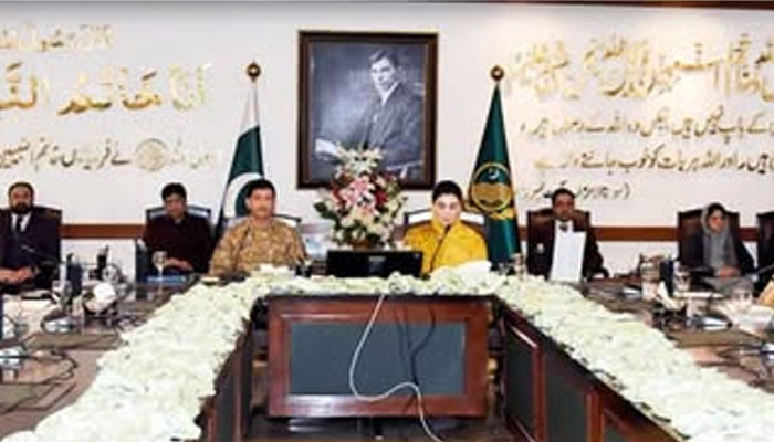 Punjab Chief Minister Maryam Nawaz chairing the Punjab Apex Committee meeting on January 7, 2025. — Facebook@TheMaryamNSharif