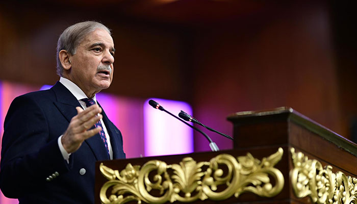 Prime Minister Muhammad Shehbaz Sharif addresses the International Conference on Girls Education in Islamabad on January 11, 2025.— PID