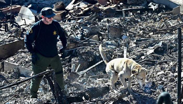 A cadaver dog, from the Los Angeles County Sheriff, sniffs through the rubble of beachfront properties destroyed by the Palisades Fire along Pacific Coast Highway in Malibu, California. — AFP/File