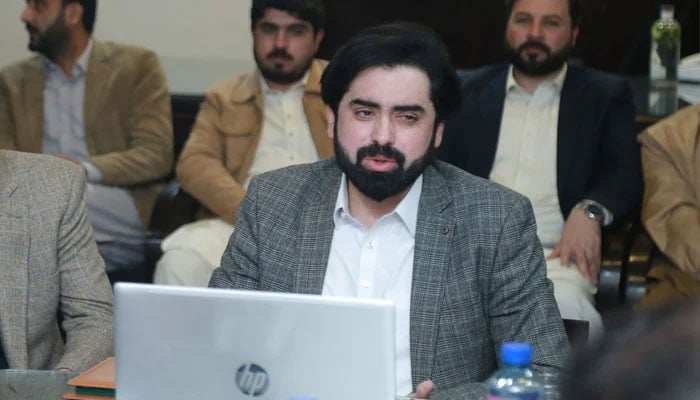 Special Assistant to the Chief Minister on Science and Information Technology, Dr Shafqat Ayaz addressing a meeting in this undated image.— Facebook@kpitbgov/File