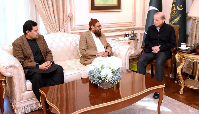 Member of the National Assembly Abdul Ghaffar Watto and Member of the Provincial Assembly of the Punjab Fida Hussain call on Prime Minister Muhammad Shehbaz Sharif on January 26, 2025. — APP