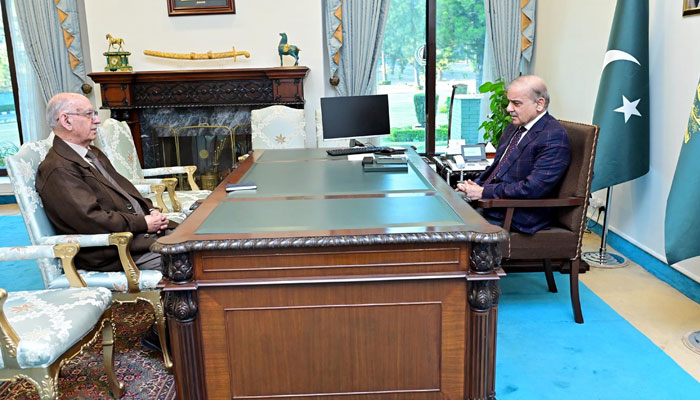 Senator Irfan Siddiqui calls on Prime Minister Shehbaz Sharif on January 27, 2025. — PID