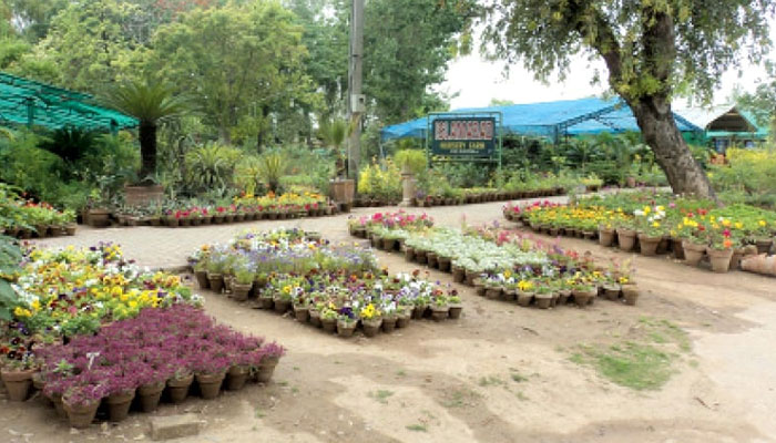 This representational image shows a nursery. — APP/File