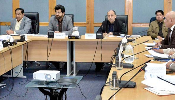 Chairman Senate Standing Committee on Overseas Pakistanis and Human Resource Development Senator Zeeshan Khanzada (2nd left),  presides over a meeting of the committee at Parliament Lodges on January 29, 2025. — APP