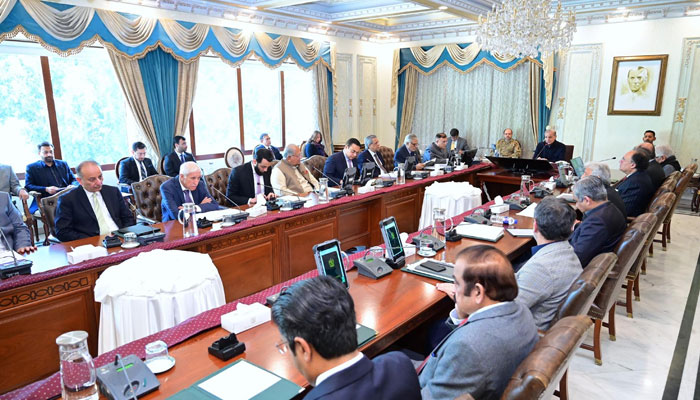 Prime Minister Shehbaz Sharif chairs a meeting of the federal cabinet on January 30, 2025.  — PID