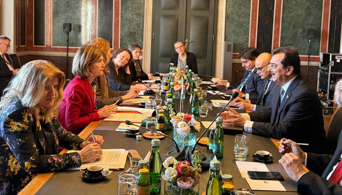 Senate Chairman Syed Yousuf Raza Gilani (right) in a bilateral meeting with the President of the Federal Council of Austria Andrea Eder-Gitschthaler (2nd left), on January 30, 2025. — Facebook@Pakistansenate