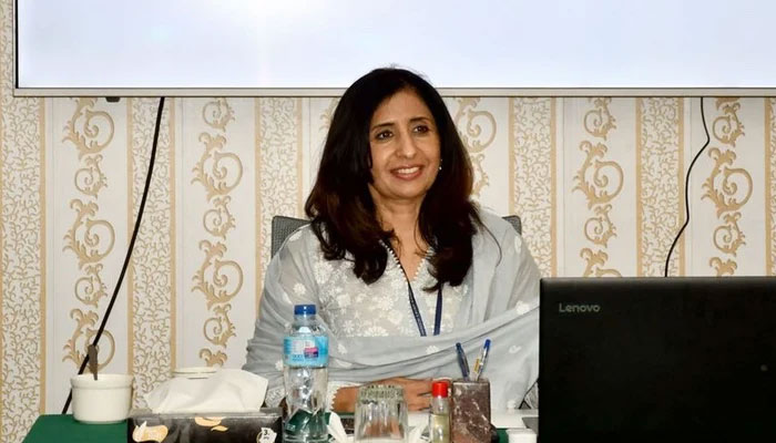 Ambassador Mumtaz Zahra Baloch. — X@MarianaBaabar/File