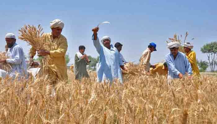 The representational image of farmers working in a field. — APP/File