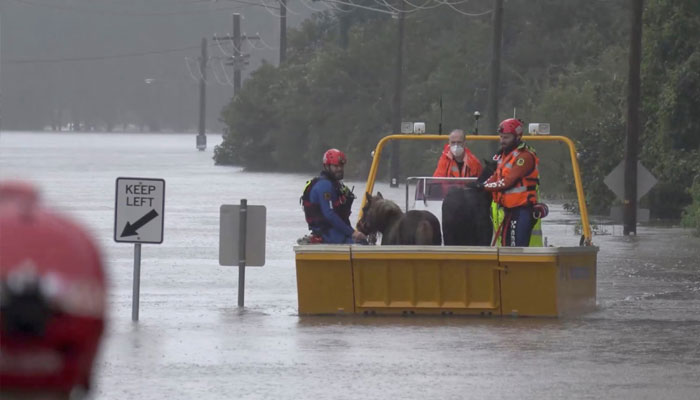 An emergency crew rescues two ponies from a flooded area in Milperra, Sydney metropolitan area, Australia July 3, 2022 in this screen grab obtained from a handout video. — Reuters