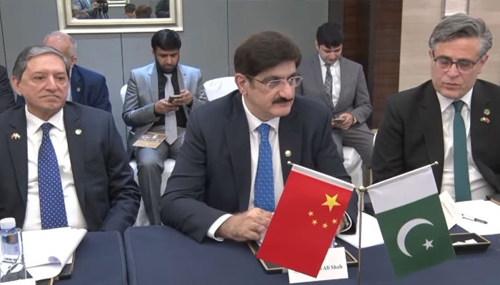 Sindh Chief Minister Syed Murad Ali Shah in a meeting on February 5, 2025. — Facebooke@SindhCMHouse