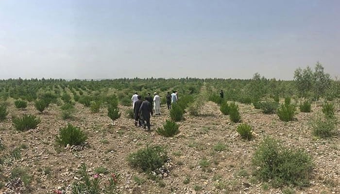 This representational image of state land. — Geo Tv webiste/File