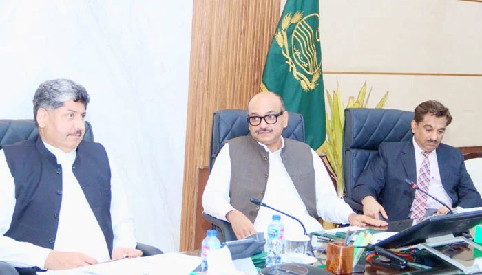 Planning and Development (P&D) Board Chairman Barrister Nabeel Ahmad Awan (centre) presides over a meeting of the Provincial Development Working Party (PDWP) on July 3, 2024. — Facebook@Planning & Development Board, Govt. of the Punjab
