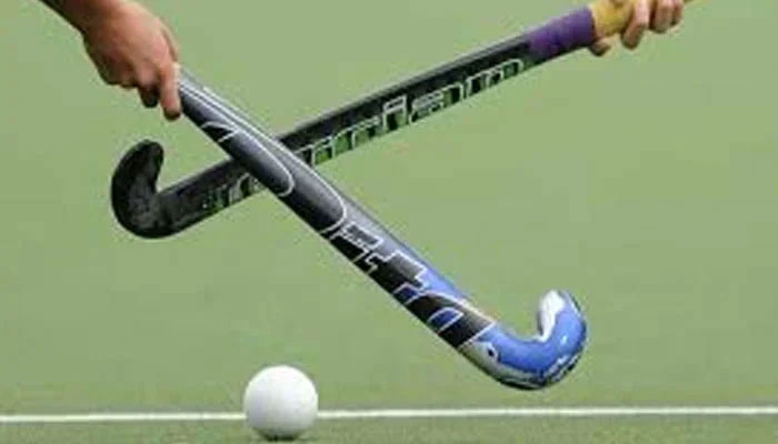 Representational image of hockey. — TheNews/File