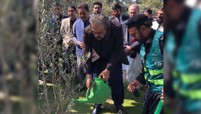 Chief Minister Ali Amin Gandapur plants a sapling to launch the “Spring 2025 Tree Plantation Campaign” on February 16, 2025. — Facebook@AliAminKhanGandapurPti