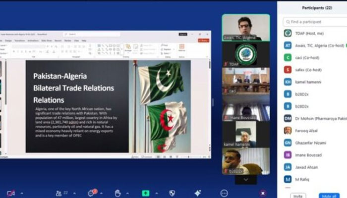 An screenshot of webinar organised by TDAP, February 20, 2025. — APP