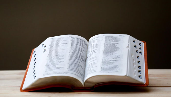 This representational image shows a dictionary. — Unsplash/File