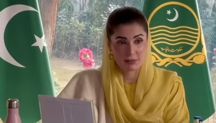 CM Punjab Maryam Nawaz chairing meeting, February 23, 2025. — Screengrab via Facebook@TheMaryamNSharif