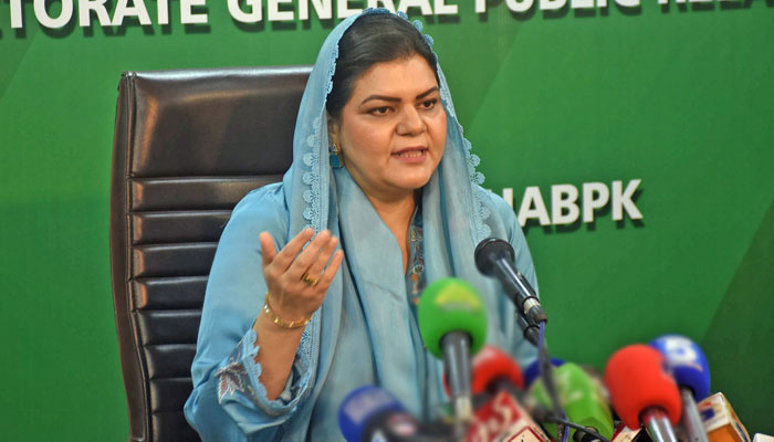 Special Assistant to Chief Minister for Price Control Salma Butt addresses a press conference at DGPR in Lahore on February 25, 2025. — Online