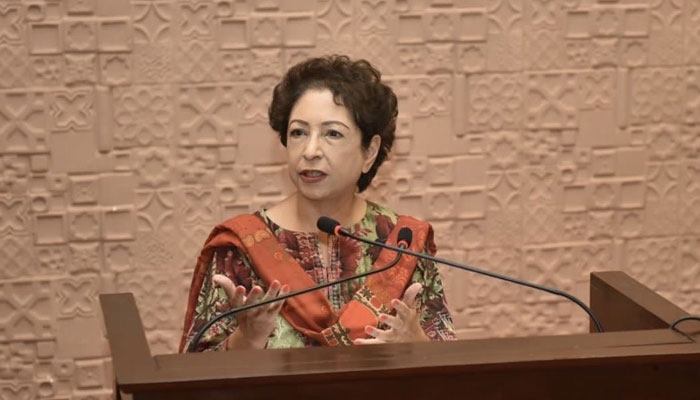 Former diplomat Dr Maleeha Lodhi speaks during an event. — X@LodhiMaleeha/File