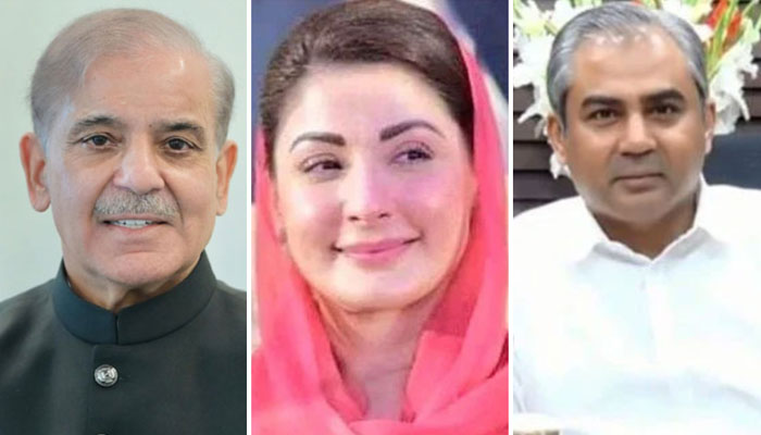 This collage shows  Prime Minister Shehbaz Sharif (left), Punjab Chief Minister Maryam Nawaz (centre), and Interior Minister Mohsin Naqvi (right). — pmo.gov.pk/X@WaheedAbbasiSMT/ APP/File