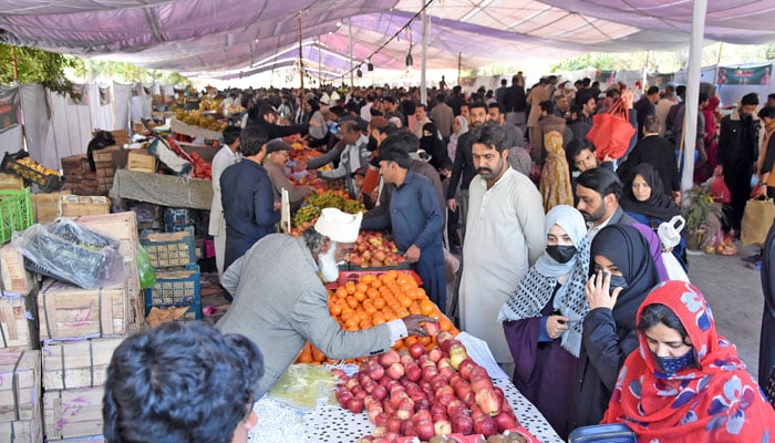 People buy fruits at Ramzan Sasta Bazaar during the holy month of Ramadan outside Allama Iqbal Park in Rawalpindi on March 2, 2025. — Online