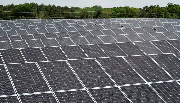 A representational image of solar panels at a renewable energy farm. — Reuters/File