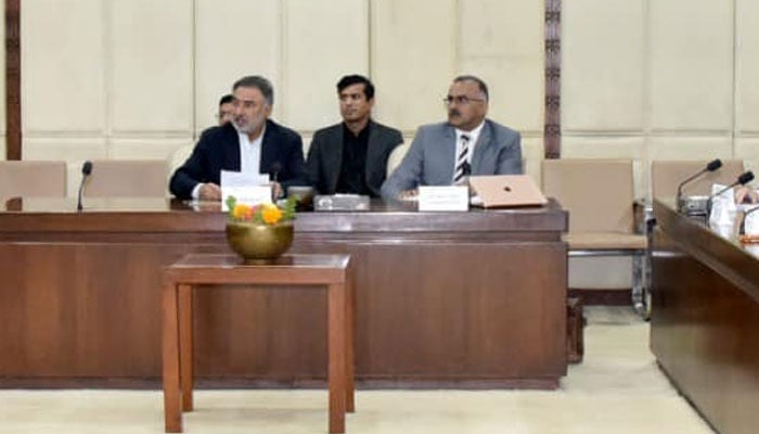 Chairman Senate Committee on Railways Senator Jam Saifullah Khan presides over a meeting at the Parliament House on March 3, 2025. — Facebook@Pakistansenate