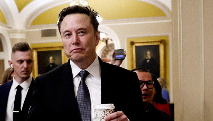 Elon Musk, Capitol Hill, December 5, 2024. — Reuters