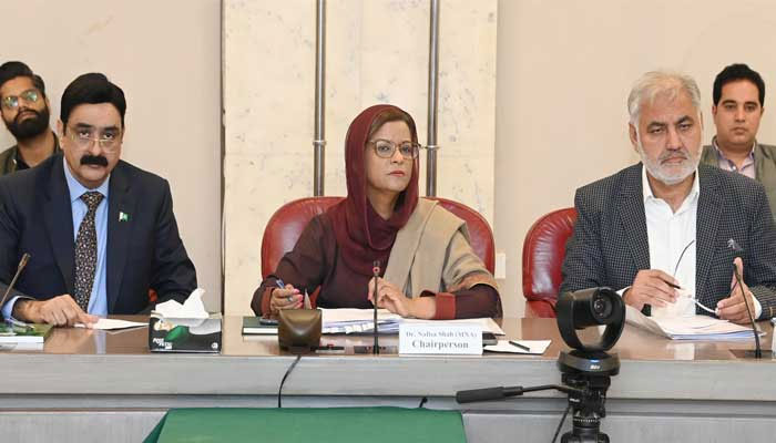 Dr Nafisa Shah chairs Gender Mainstreaming Committee meeting at Parliament House in Islamabad on March 4, 2025. — National Assembly of Pakistan/website