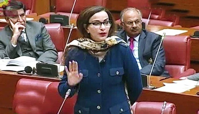Pakistan Peoples Party parliamentary leader Sherry Rehman addressing the Senate in this undated image. — APP/File
