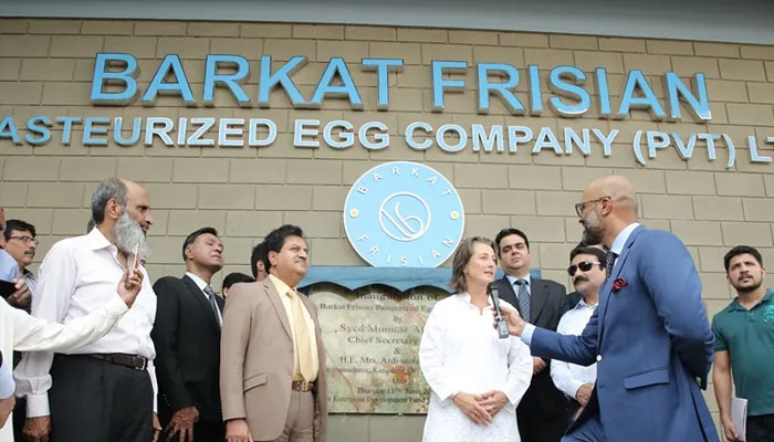 Barkat Frisian logo seen on a wall as woman gives an interview in this image.— Barkat Frisian website/File