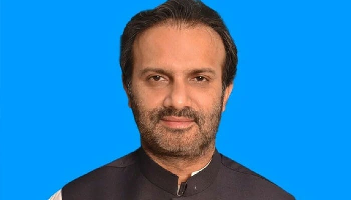 PTI leader Aoun Abbas Bappi. — Senate of Pakistan website/File